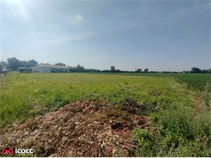 terrain à la vente -   85400  CHASNAIS, surface 1831 m2 vente terrain - UBI467065304